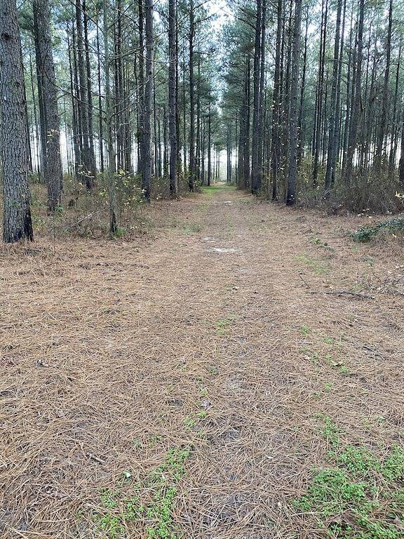 Masters rental - Historic federal in the heart of Edgefield county in Edgefield County