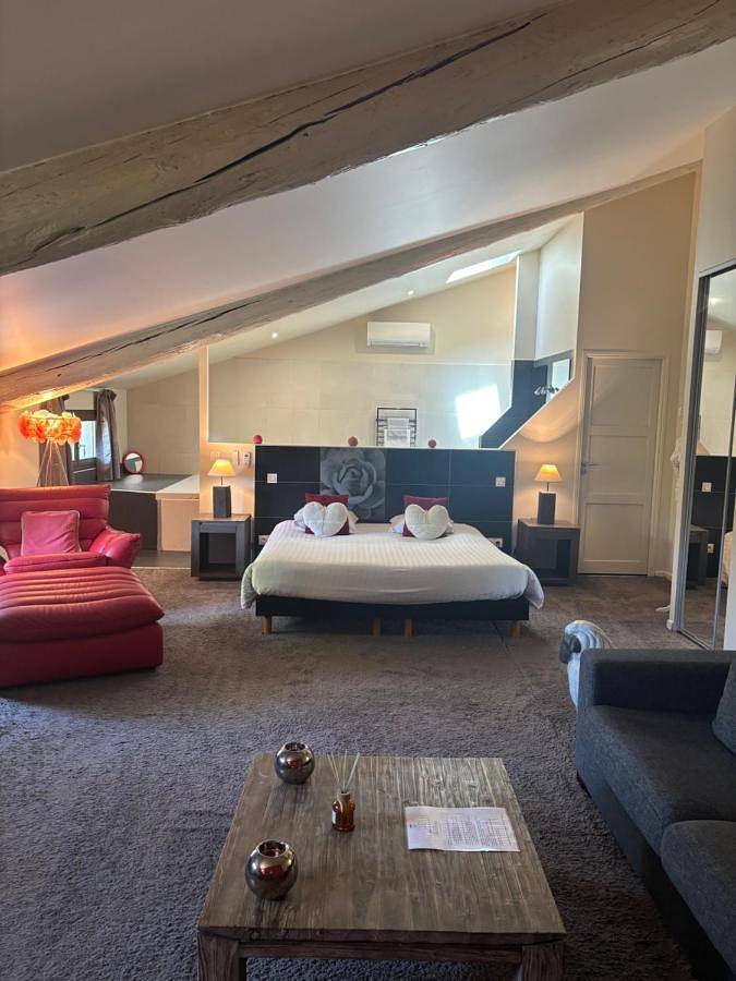Location de vacances pour 4 personnes, avec jacuzzi ainsi que piscine et jardin à Colombiers - 2