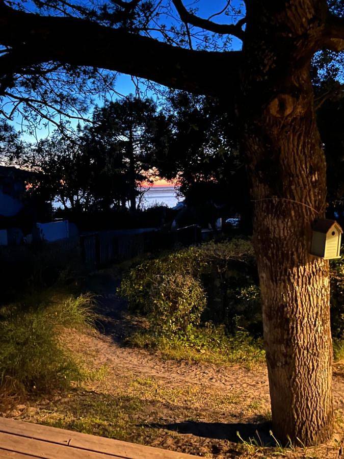 Maison d’hôte pour 2 personnes, avec vue sur le lac ainsi que vue et jardin, animaux acceptés à La Teste-de-Buch - 2