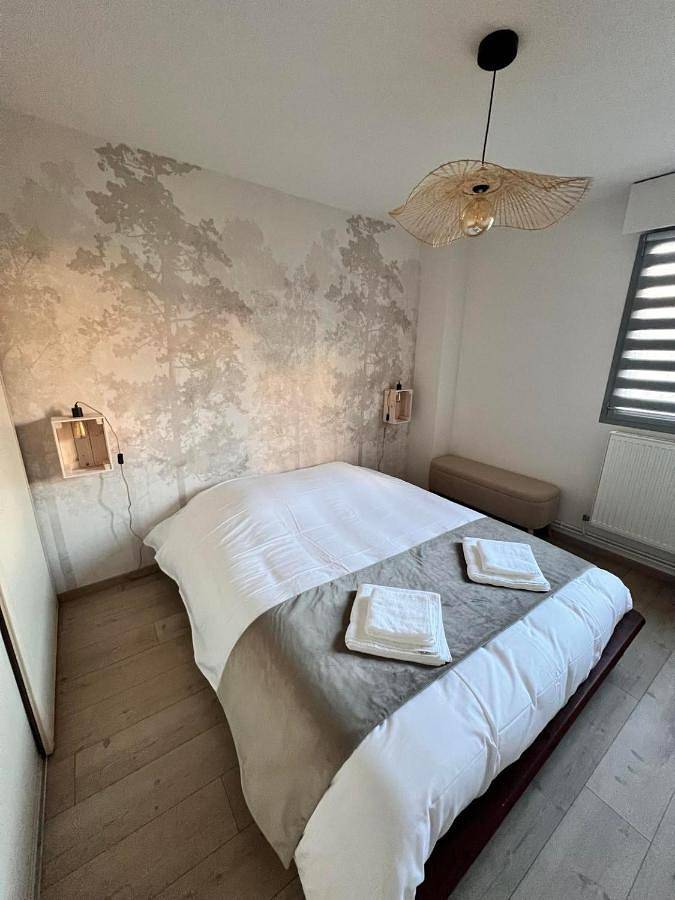 Location de vacances pour 8 personnes, avec jacuzzi et terrasse, animaux acceptés à Clermont-Ferrand - 3