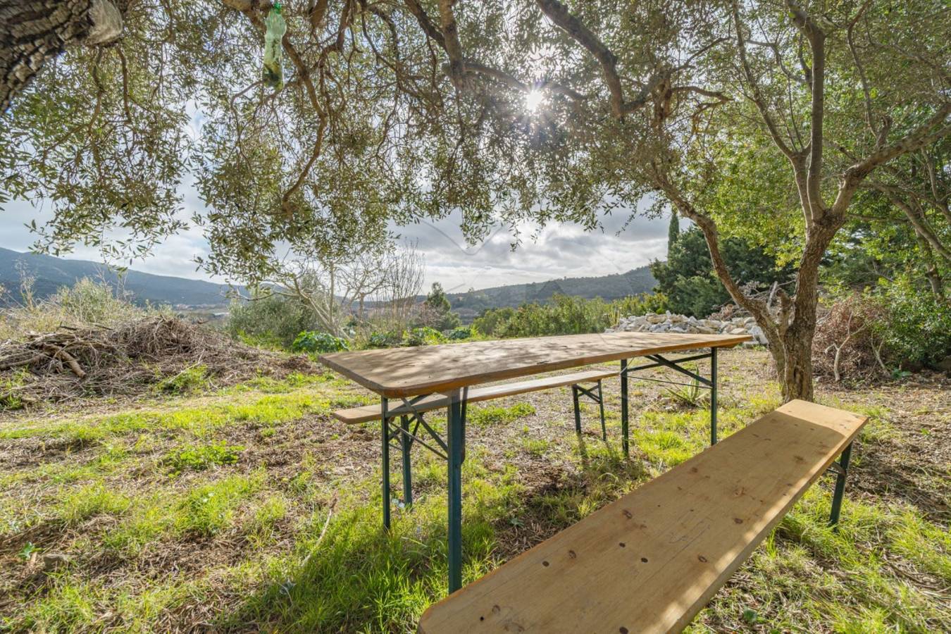 Ganze Ferienwohnung, Ferienwohnung für 4 Personen mit Garten in La Pila, Campo nell'Elba