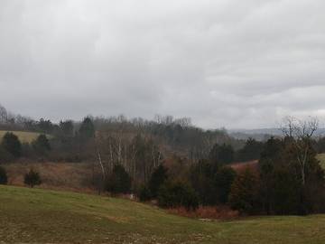 Log Cabin for 3 Guests in Kentucky, USA, Picture 3
