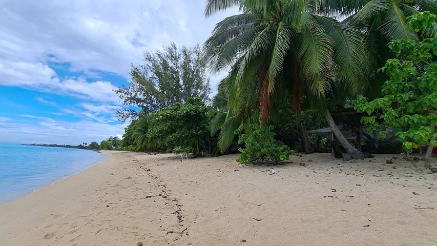 Location de vacances pour 4 personnes, avec jardin dans Tahiti - 2