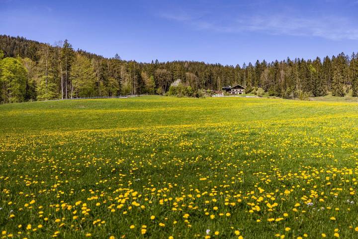 Ferienwohnung für 3 Personen, mit Garten, kinderfreundlich - 1