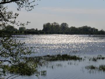 Ferienpark für 7 Personen in Poseritz, Rügen, Bild 2