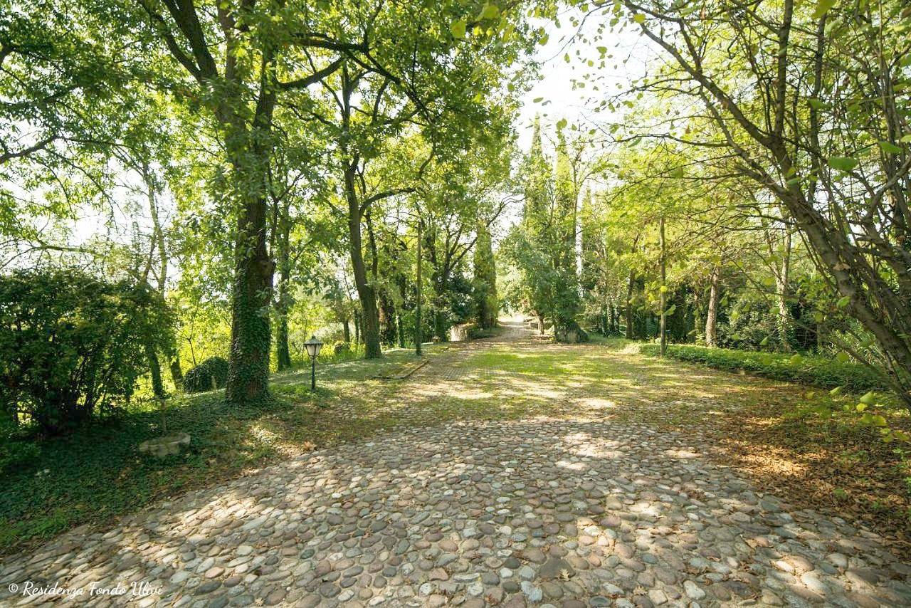 Residenza Fondo Ulivi in Ponti sul Mincio, Lago di Garda