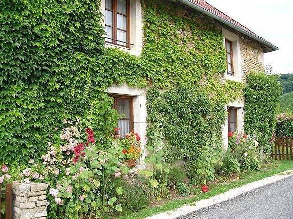 Les Mésanges in Jura Francais