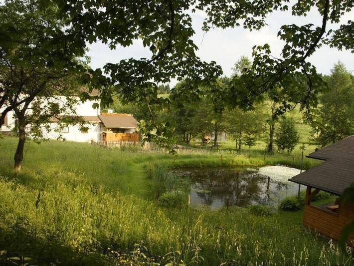 Ferienwohnung für 4 Personen, mit Terrasse und Garten sowie Sauna am Rennsteig