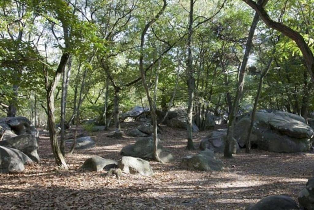 Gîte des Avaux- prés de Paris in Champcueil, Parc naturel régional du Gâtinais français