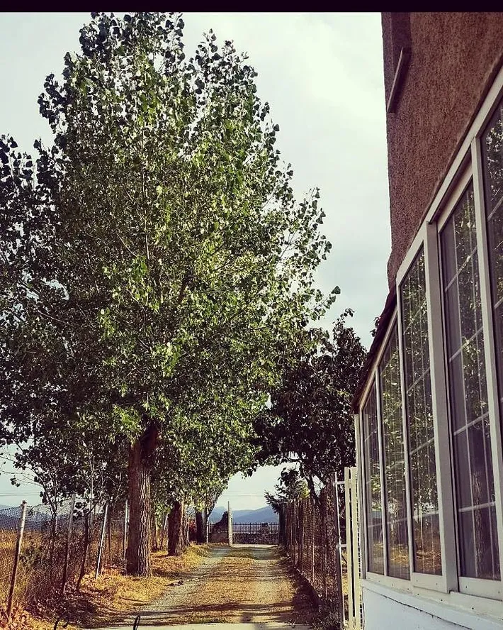 Casa de vacaciones para 10 personas, con piscina además de jardín y vistas - 1