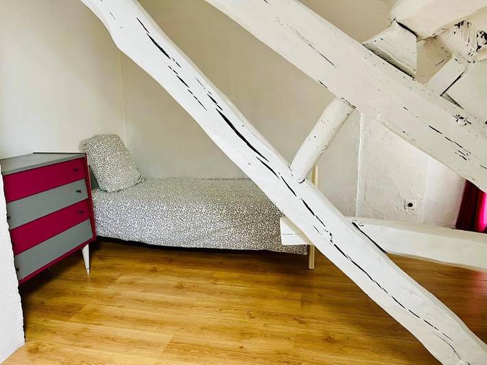 Location de vacances pour 11 personnes, avec jacuzzi ainsi que jardin et piscine dans Voulx - 3