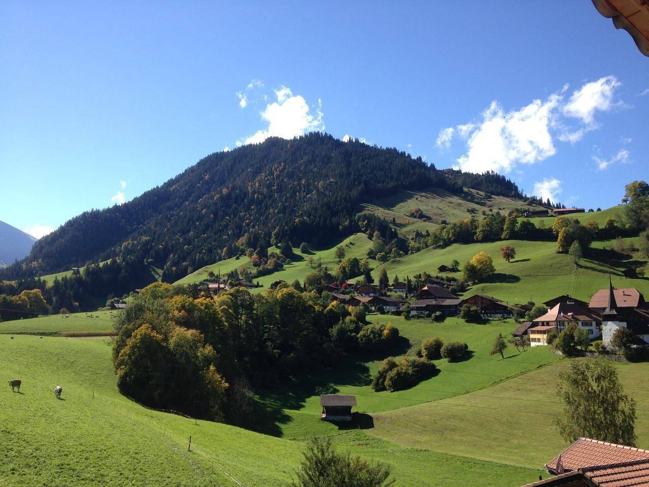 Ganze Ferienwohnung, Chalet Ried in Diemtigen, Berner Oberland