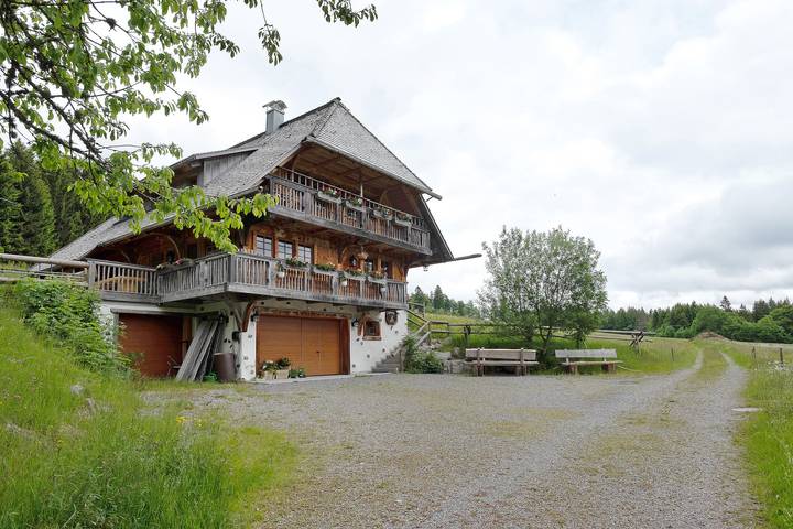 Ferienwohnung für 16 Personen, mit Garten in Feldberg