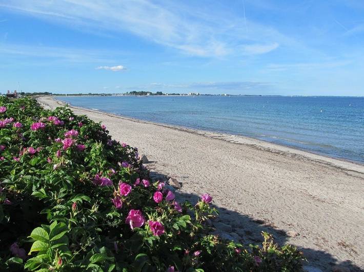 Ferienhaus für 4 Personen, mit Garten und Terrasse in Neukirchen - 2