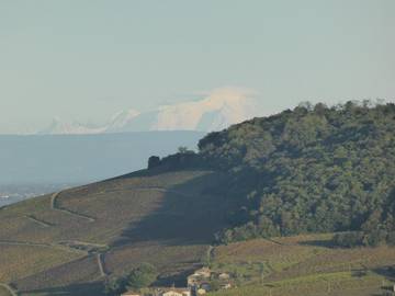 Gîte pour 6 Personnes dans Quincié-en-Beaujolais, Beaujolais, Photo 4