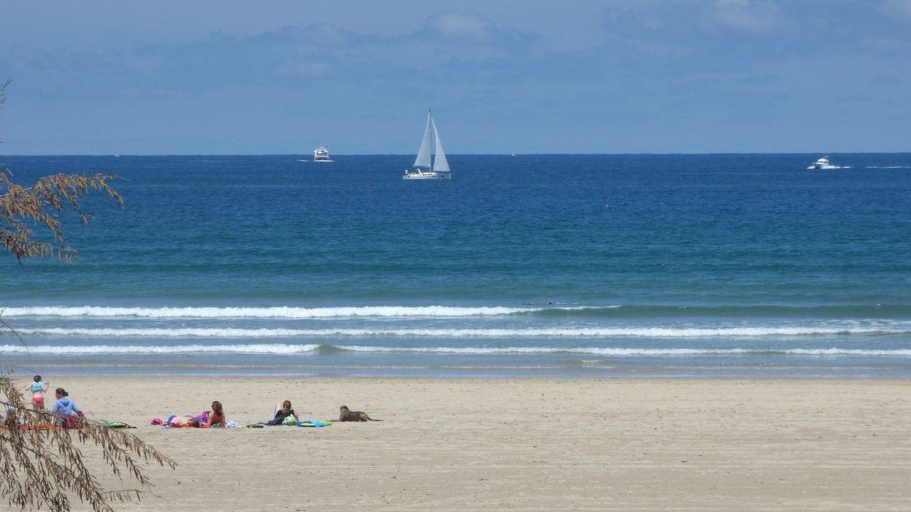 Ganze Ferienwohnung, Ferienwohnung für 4 Personen (65 m²) in Urrugne in Urrugne, Bayonne und Umgebung