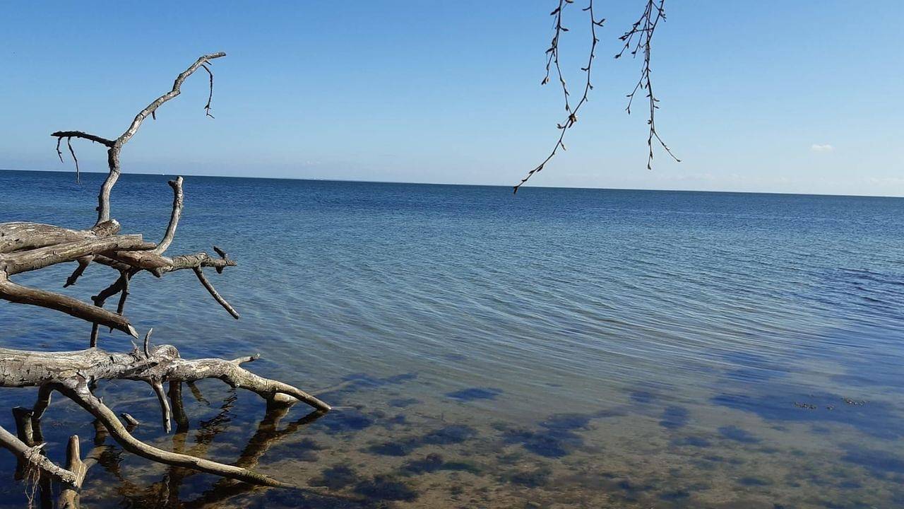 Ferienwohnung in Rügen ab 96€ pro Nacht