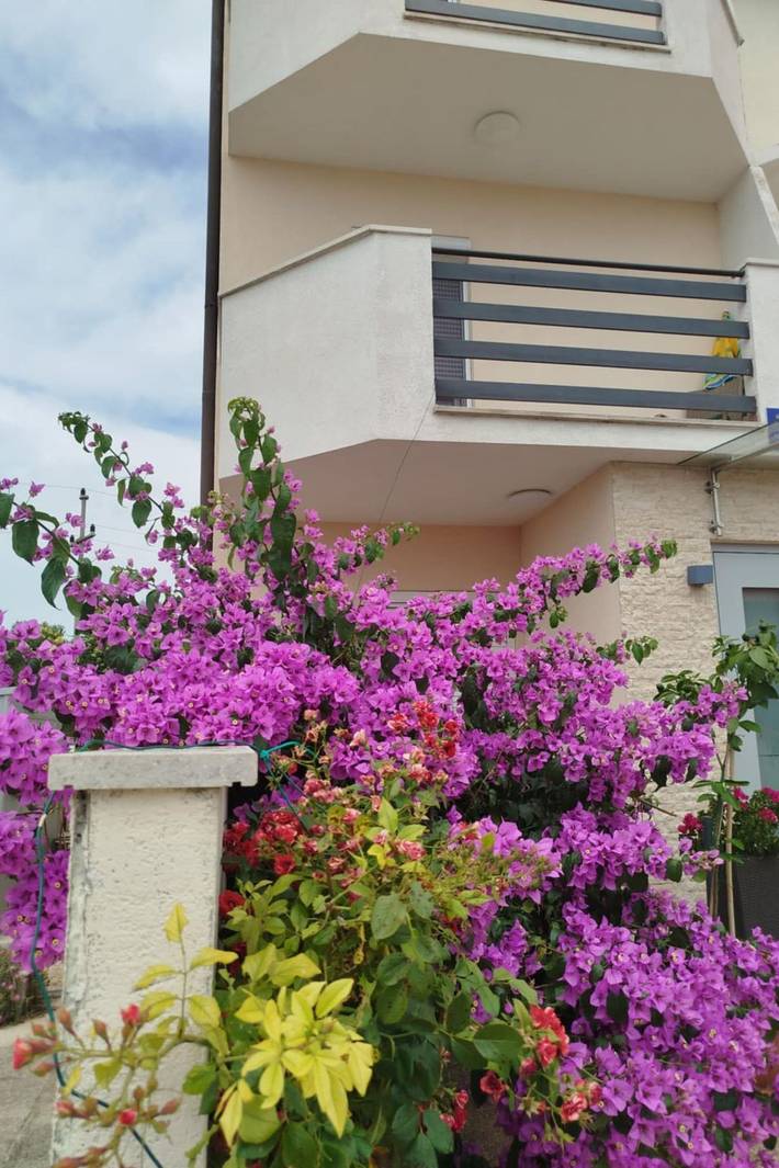 Apartamento de vacaciones para 5 personas, con balcón - 1