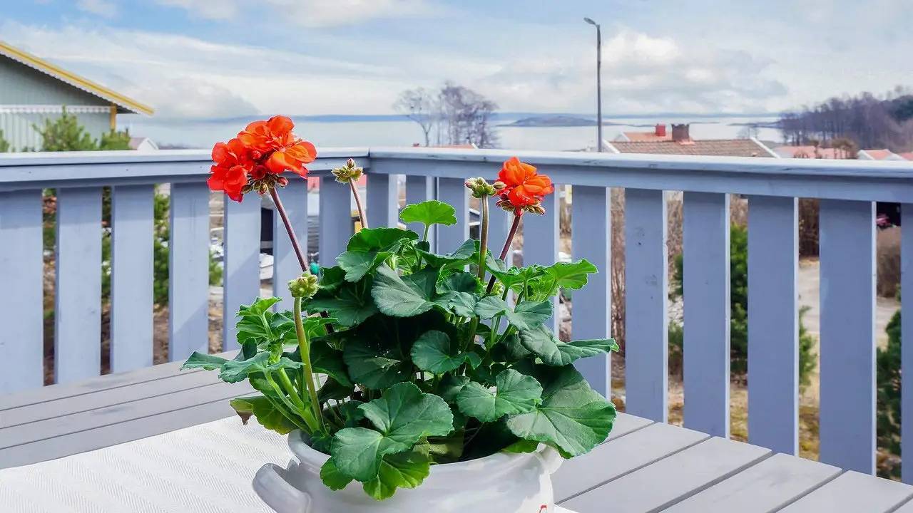 Ferienhaus für 4 Personen (50 m²) in Strömstad in Norra Västkusten