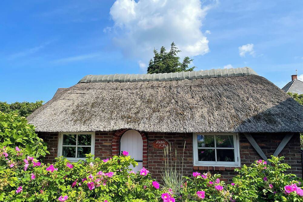 Ganze Wohnung, Fischer-Hütte Westerland in Westerland, Sylt (Gemeinde)