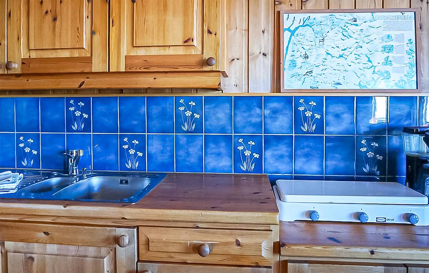 Vakantiehuis voor 4 personen met tuin in Eidfjord