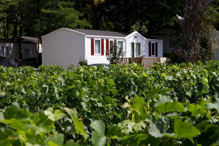 Camping pour 8 personnes, avec sauna et jardin ainsi que piscine et vue - 1