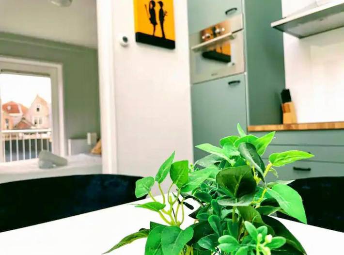 Gîte pour 4 personnes, avec vue à Leiden - 4