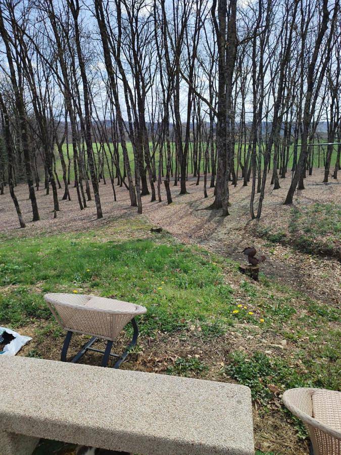 Location de vacances pour 6 personnes, avec terrasse ainsi que piscine et jacuzzi à Puybegon - 2