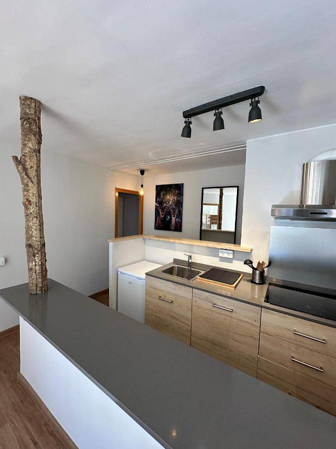 Apartamento entero, Apartamento Dalia in La Molina, Alp
