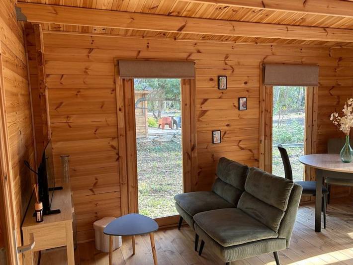 Gîte pour 4 personnes, animaux acceptés à Linguizzetta - 3