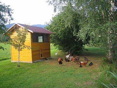 Ferienwohnung für 6 Personen, mit Balkon und Balkon/Terrasse sowie Terrasse und Garten in Arnbruck - 2