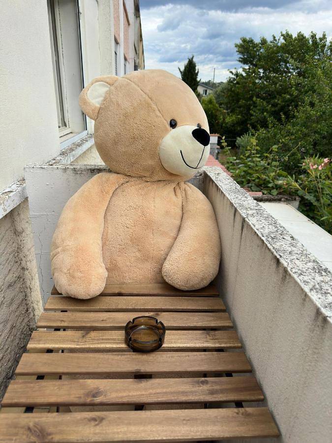 Maison d’hôte pour 5 personnes, avec terrasse ainsi que vue et jardin à Castres - 3