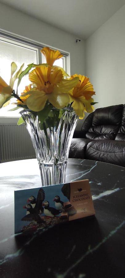 Chambre d’hôte pour 2 personnes, avec jardin ainsi que vue et terrasse à Reykjavík