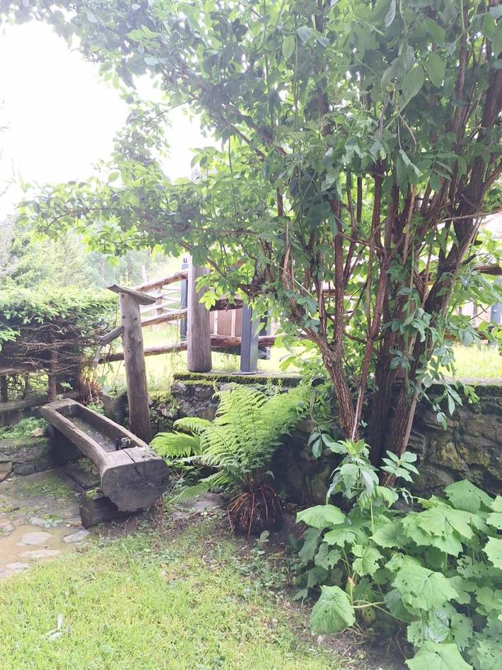 Blockhütte für 8 Personen, mit Sauna und Garten in Österreich - 4