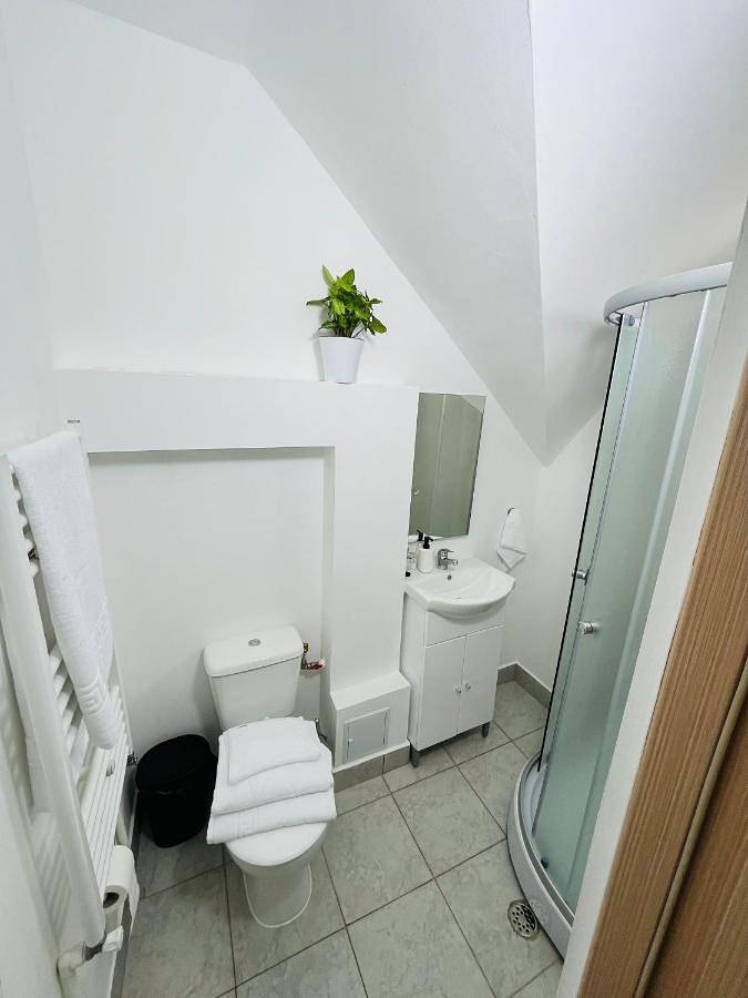 Maison d’hôte pour 4 personnes, avec vue et terrasse, animaux acceptés à Brașov - 4
