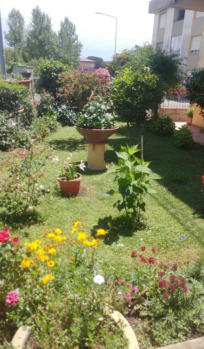 Holiday home for 4 people, with terrace - 1
