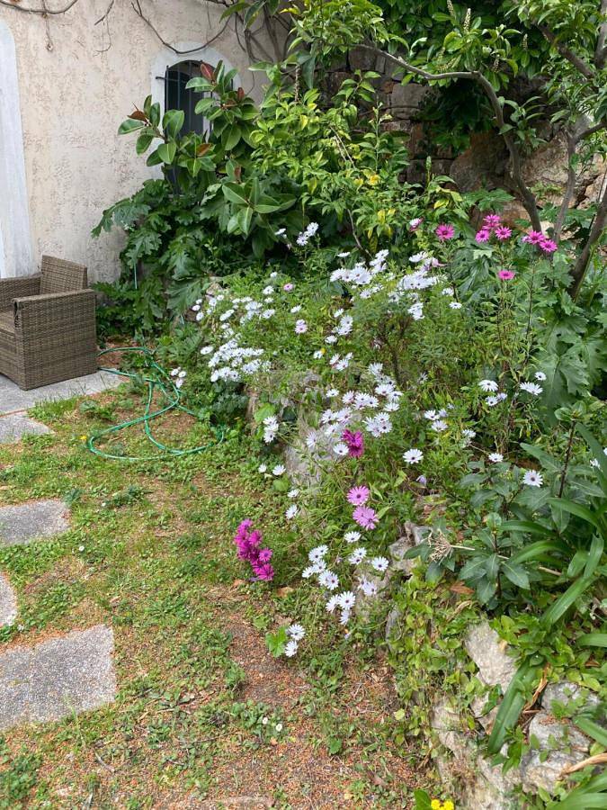 Location de vacances pour 3 personnes, avec jardin et jacuzzi à Le Cannet - 3