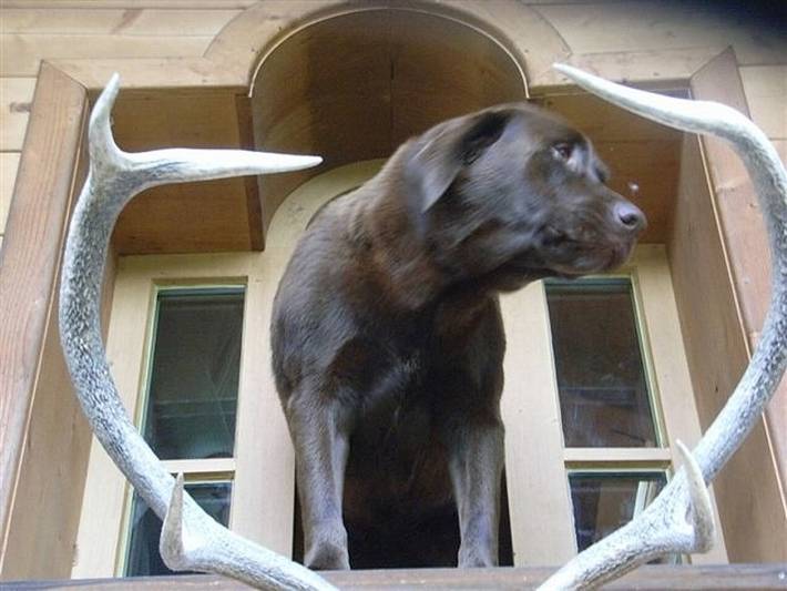 Ferienwohnung für 2 Personen, mit Balkon/Terrasse und Terrasse, kinderfreundlich in Ruhpolding - 4