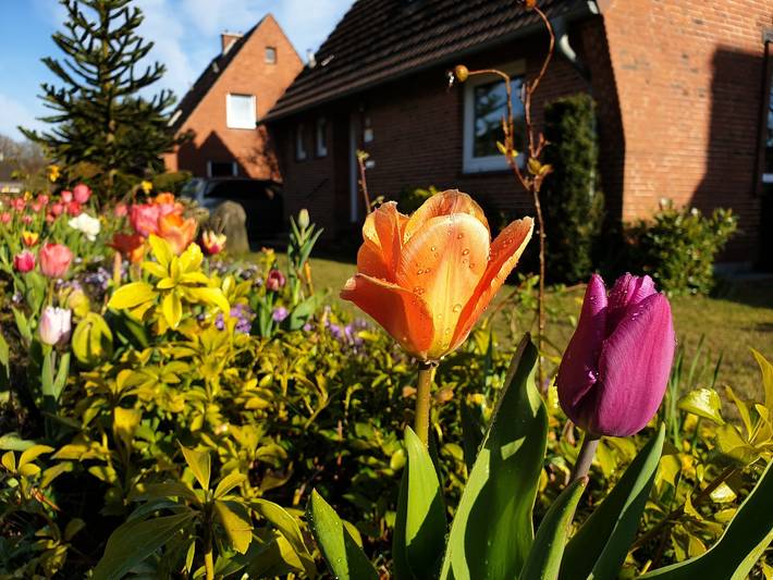 Ferienhaus für 4 Personen, mit Terrasse und Garten am Nord-Ostsee-Kanal