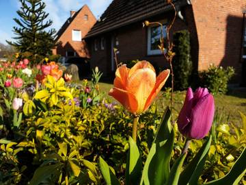 Ferienhaus für 4 Personen, mit Terrasse und Garten am Nord-Ostsee-Kanal