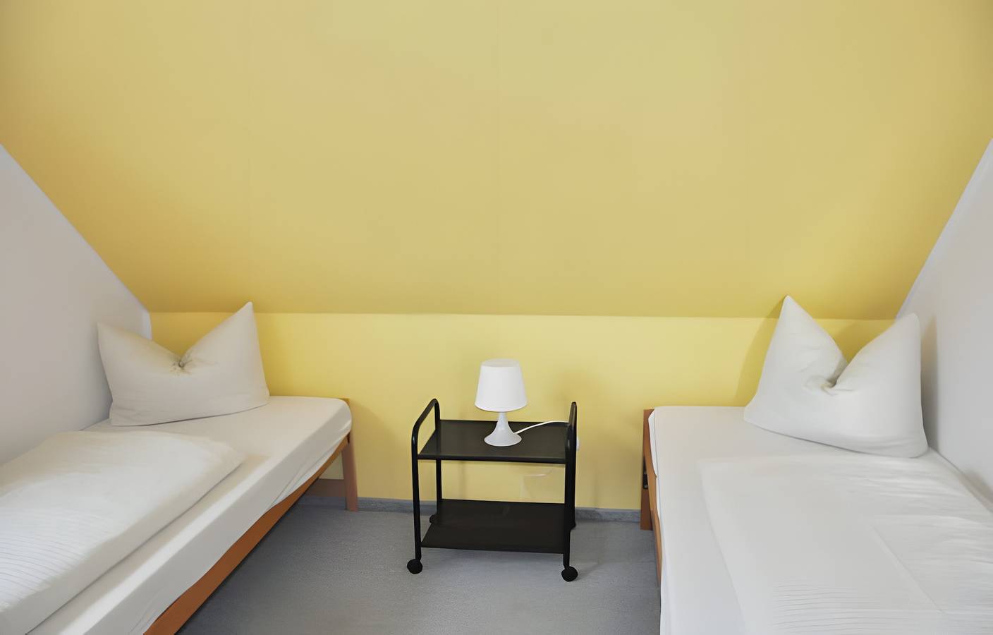 Ganze Wohnung, Silbermöwe - hundefreundliche Fewo in Westfehmarn, Fehmarn