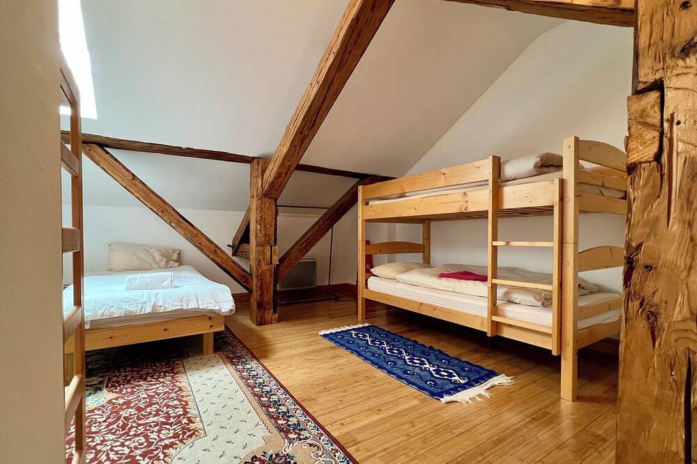 Geheel appartement, Groot penthouse-appartement, balkon, 10 slaapplaatsen, familie- en huisdiervriendelijk. in Seytroux, Thonon-les-Bains en omgeving