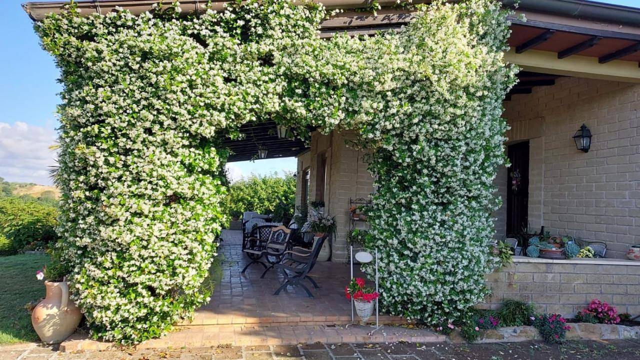 Deluxe Suite with Spa Bath - Split Level in Ardea, Provincia di Roma