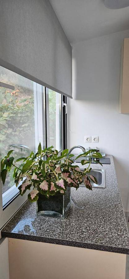 Maison d’hôte pour 2 personnes, avec jardin ainsi que balcon et vue à Himarë - 3