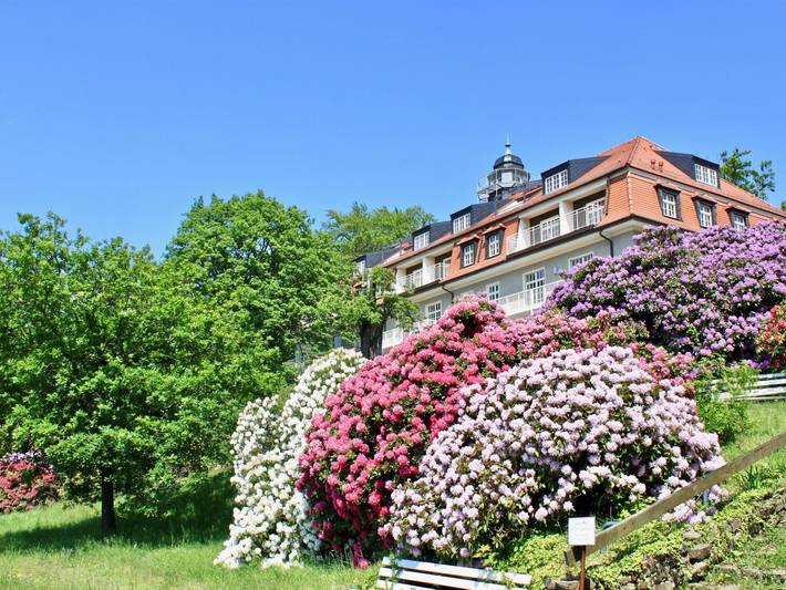 Ferienwohnung für 5 Personen, mit Balkon und Garten in Dresden