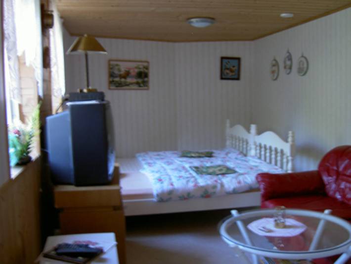 Ferienhaus für 4 Personen, mit Garten in Blekinge - 3