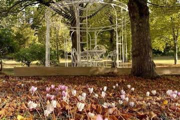Château pour 15 personnes, avec piscine et jacuzzi dans l' Ariège
