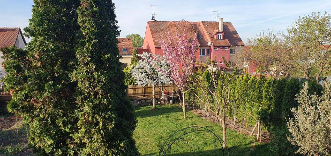 Geheel vakantieappartement, Double Room in Mikulov, Zuid-Moravië