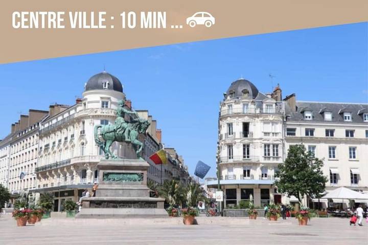 Location de vacances pour 4 personnes, avec terrasse, animaux acceptés à Olivet - 3