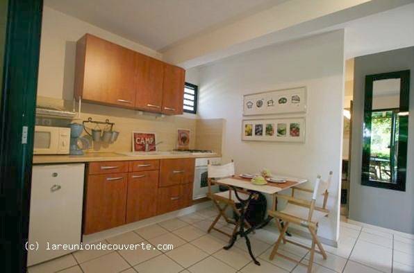 Gîte pour 2 personnes, avec jardin ainsi que piscine et vue à L'Étang-Salé - 4